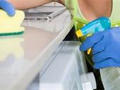 established profitable domestic cleaning