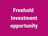 rare freehold business investment