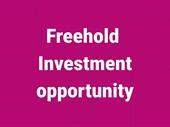rare freehold business investment