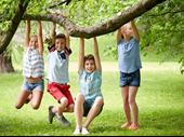 reputable dedicated provider of