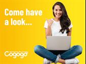 sparkling success profitable home-based