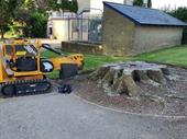 established tree stump grinding