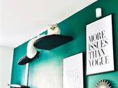 wellness-focused cat furniture brand