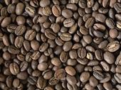 exceptional coffee shop chain