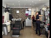 well established hair beauty
