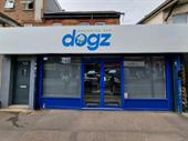 dog grooming salon dorset