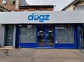 dog grooming salon dorset