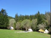 established camping glamping site
