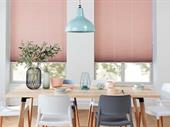 consistently profitable apollo blinds