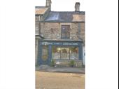 profitable thriving fish chip