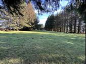 campsite tavern letting rooms