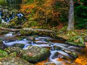unique dartmoor national park