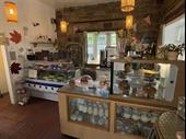 cafe tea rooms for