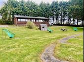 well established clay pigeon
