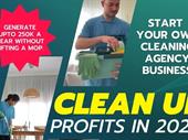 remote online domestic cleaning