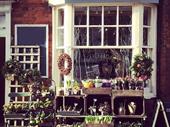 well-established florist within pedestrian