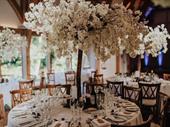 luxury venue decor buisness