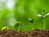 profitable franchise consultancy with