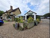 charming tea rooms coffee