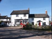 popular tea shop with