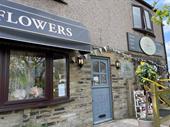 bloom into business established