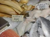 mobile fishmongers
