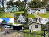 online auction five freehold