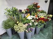 long established florist sunderland