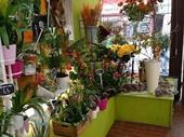 old established florist