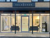 hair tanning beauty salon