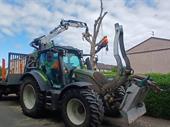 highperforming arboriculture tree business