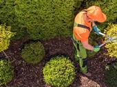 specialist garden maintenance landscaping