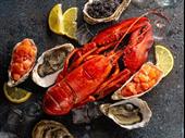 seafood business for sale