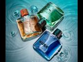 profitable perfume business with
