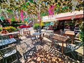 unopposed bistro café for