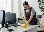 established commercial domestic cleaning