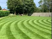 established lawn care business
