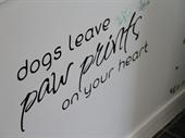 profitable dog daycare lancashire