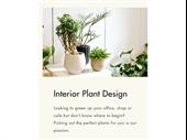 unique thriving e-commerce plant