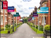 lettings estate agency northern