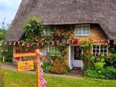 quaint tearoom
