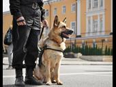 trusted security service business