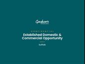 domestic commercial cleaning business