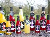 niche non-alcoholic drinks manufacturer