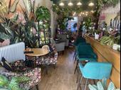 licenced cafe bar plants