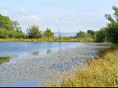 income-generating lifestyle property fishery