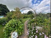beautiful freehold garden nursery