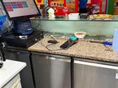 malaysian street food business