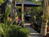 destination jungle cafe the