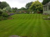 established successful grounds maintenance